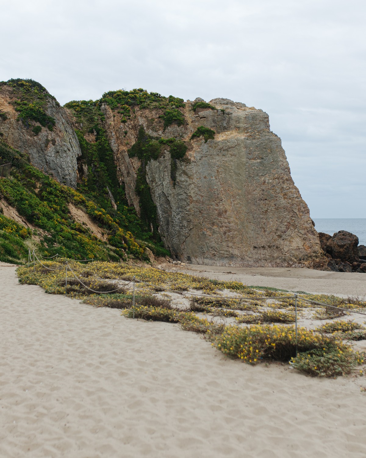 Dana Point coastline with sandy beach and tall coastal cliffs